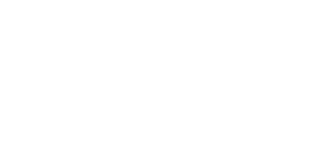 Optimal Endurance Coaching Logo